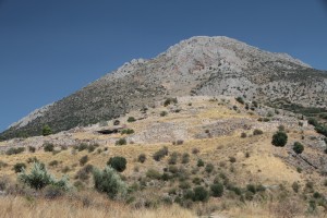 Mycenae Hillside